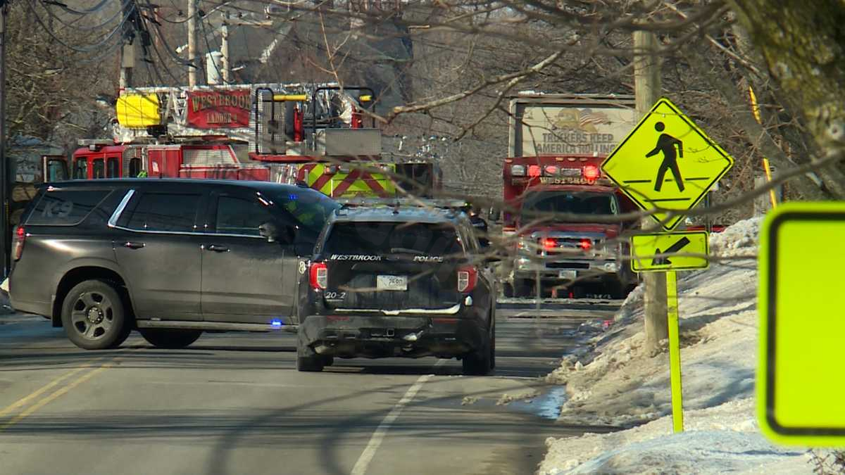 Dog 'grievously injured' in crash involving erratic driver, police say