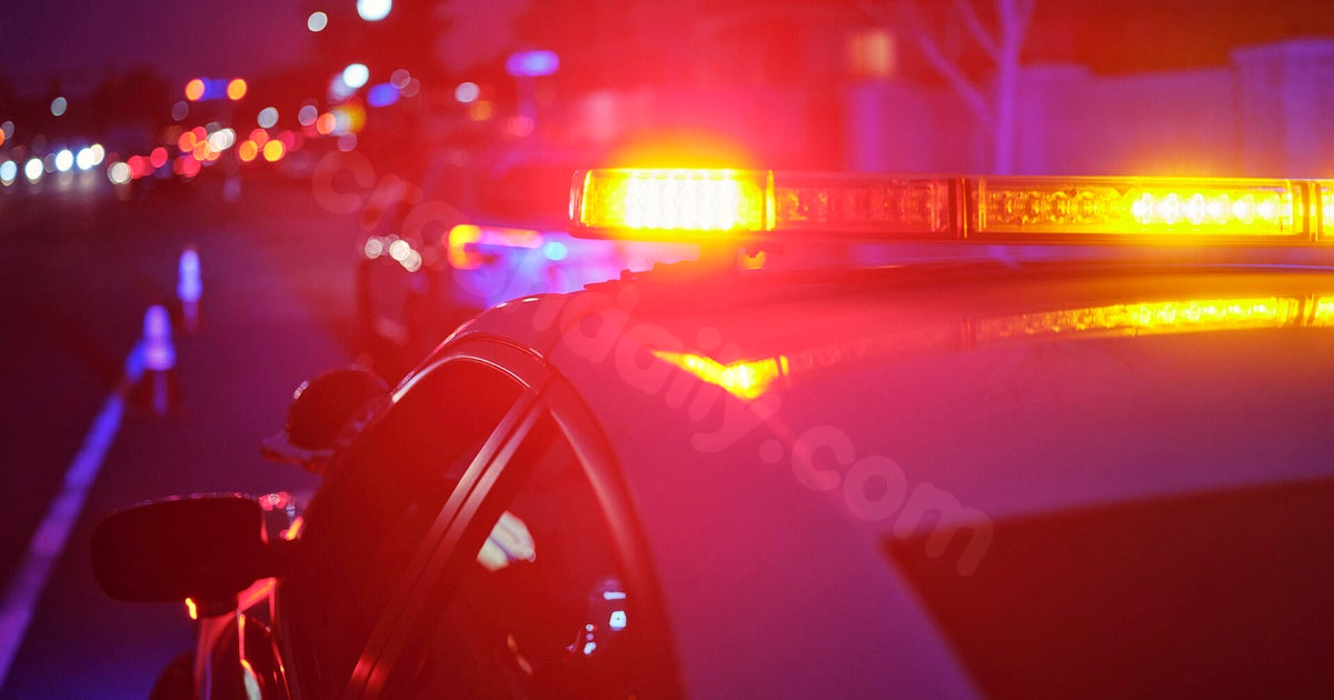Pedestrian dies after hit-and-run crash on I-94 in St. Clair Shores, police say