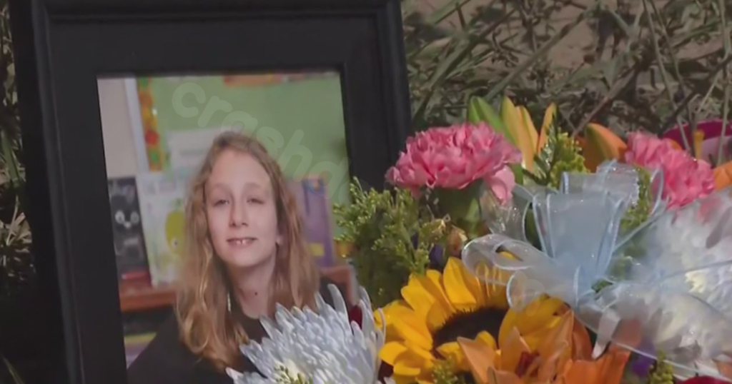 Drunk driver sentenced to 3-6 months for crash that killed Harrison Township girl