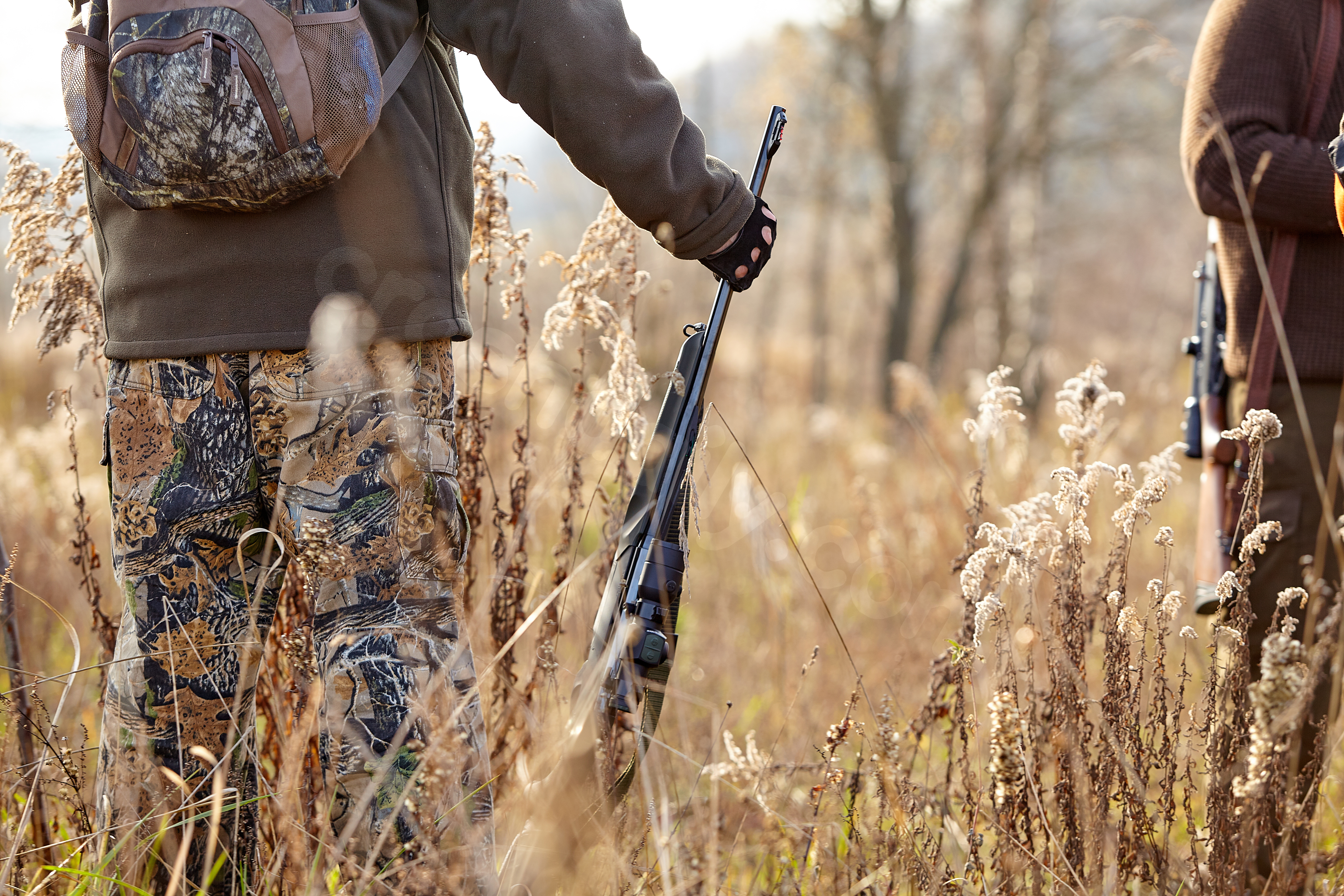 Raccoon hunter accidentally killed after bullet ricochets off tree in northern Indiana