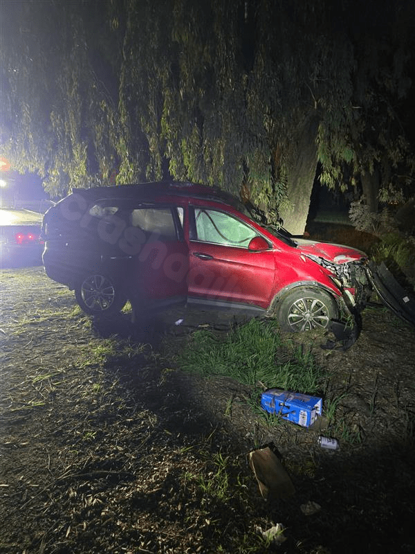Alcohol suspected in deadly Hwy. 99 tree crash in Sacramento, CHP says