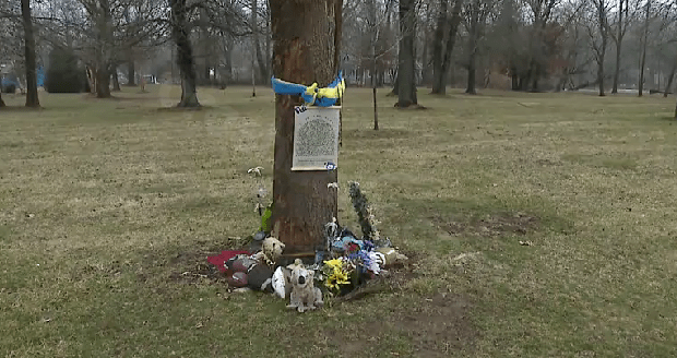 Indy attorney charged with felony theft in connection to crash that killed HSE football star