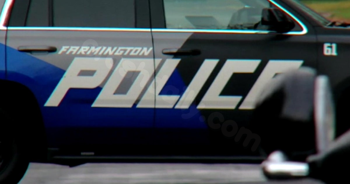 Farmington restaurant owner fighting for her life after crash with city officer, police say