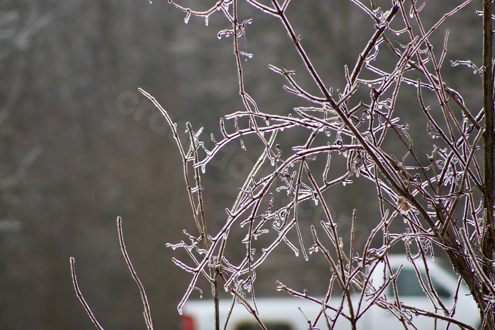 Icy conditions overnight lead to spike in crashes, falls around Rochester