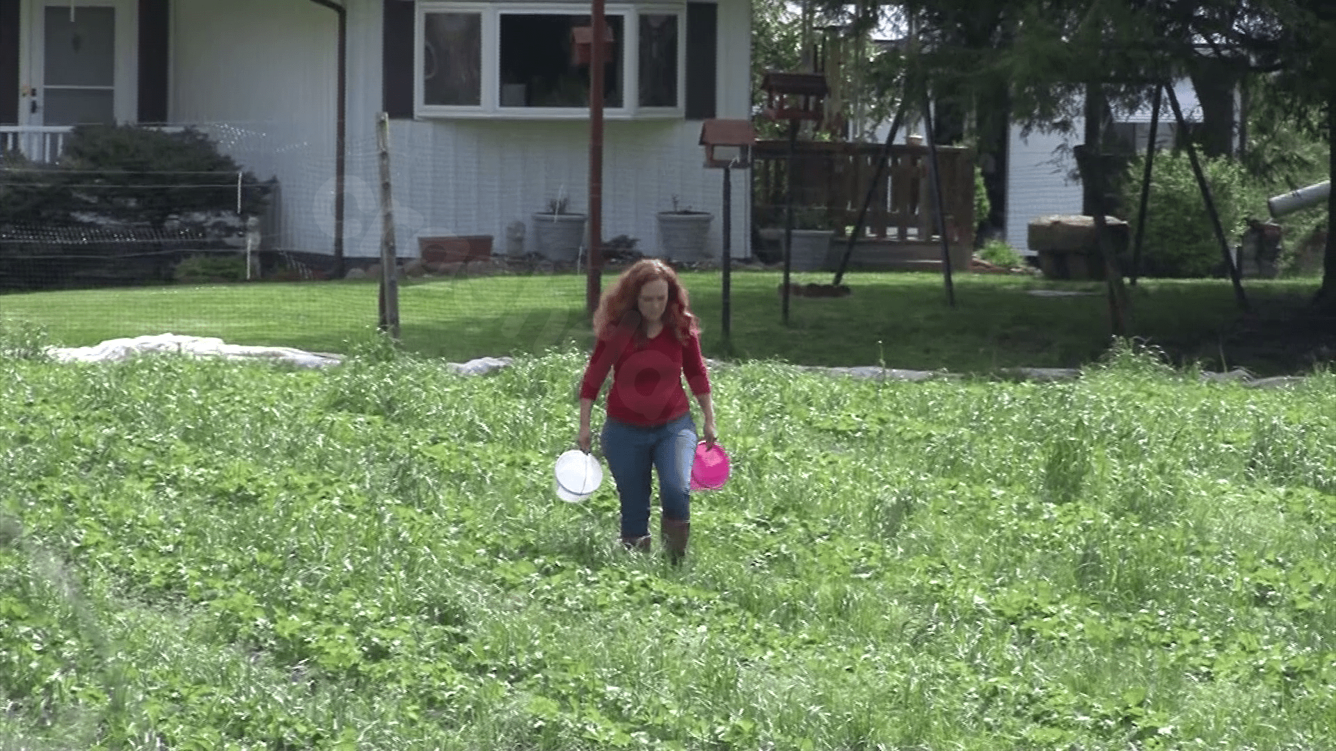 West Virginia farming community remembers Angela Born after fatal crash