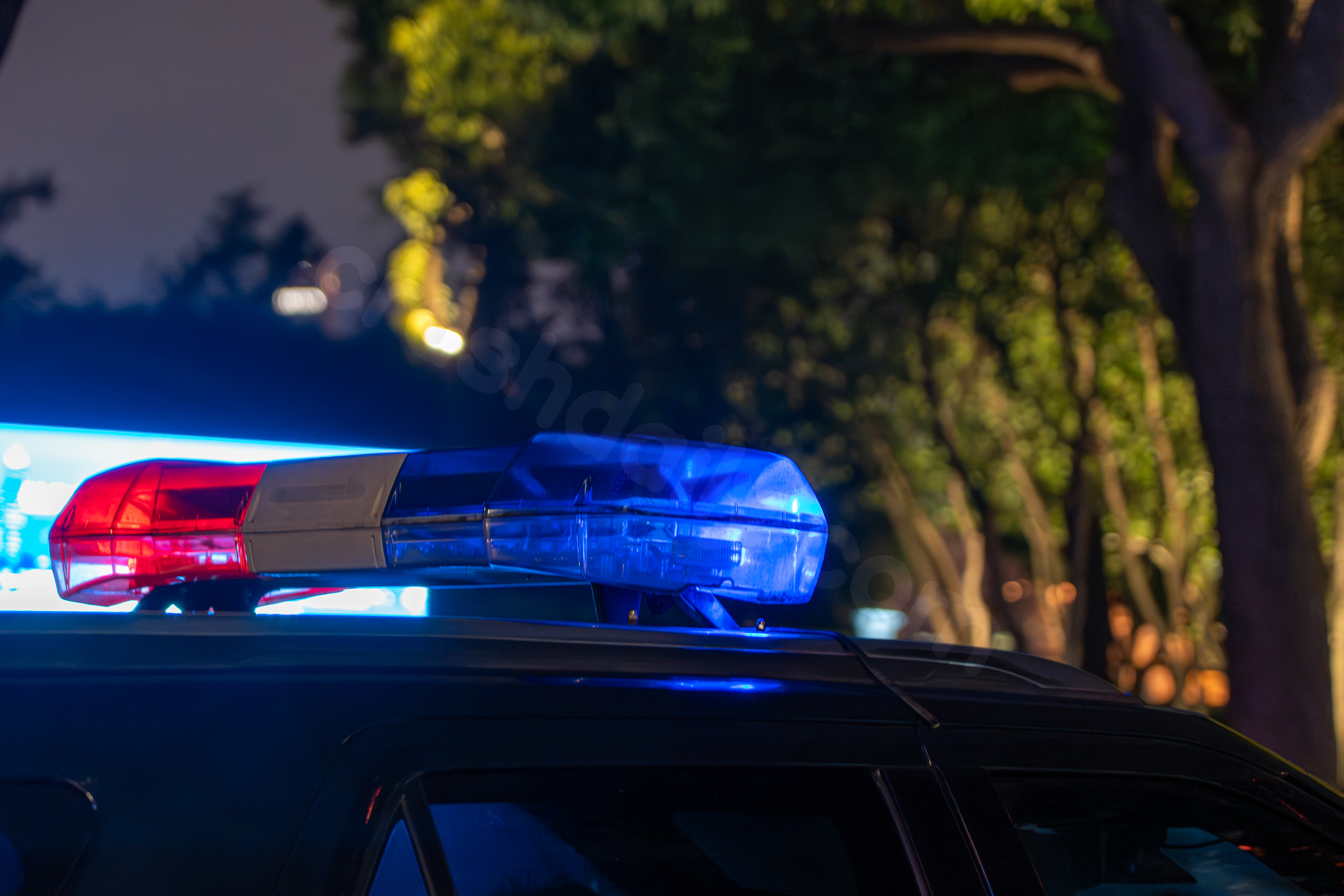 4 dead, including 2 children in early morning Oakdale car crash