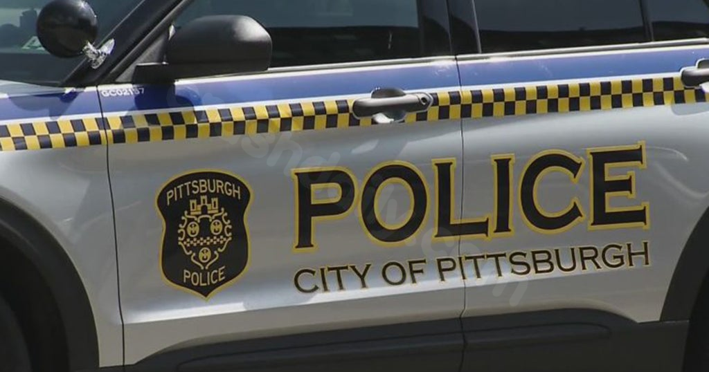 Pittsburgh Police investigating deadly Brighton Heights hit-and-run crash