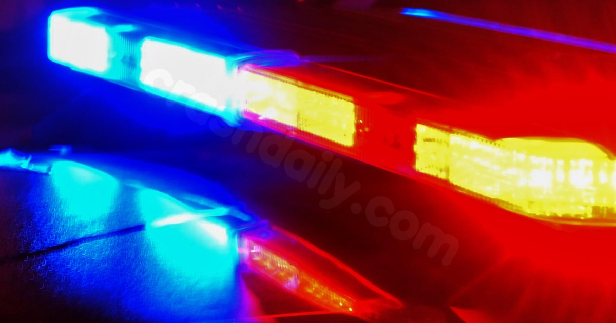 2 dead, 1 in custody after crash in Macomb County, police say