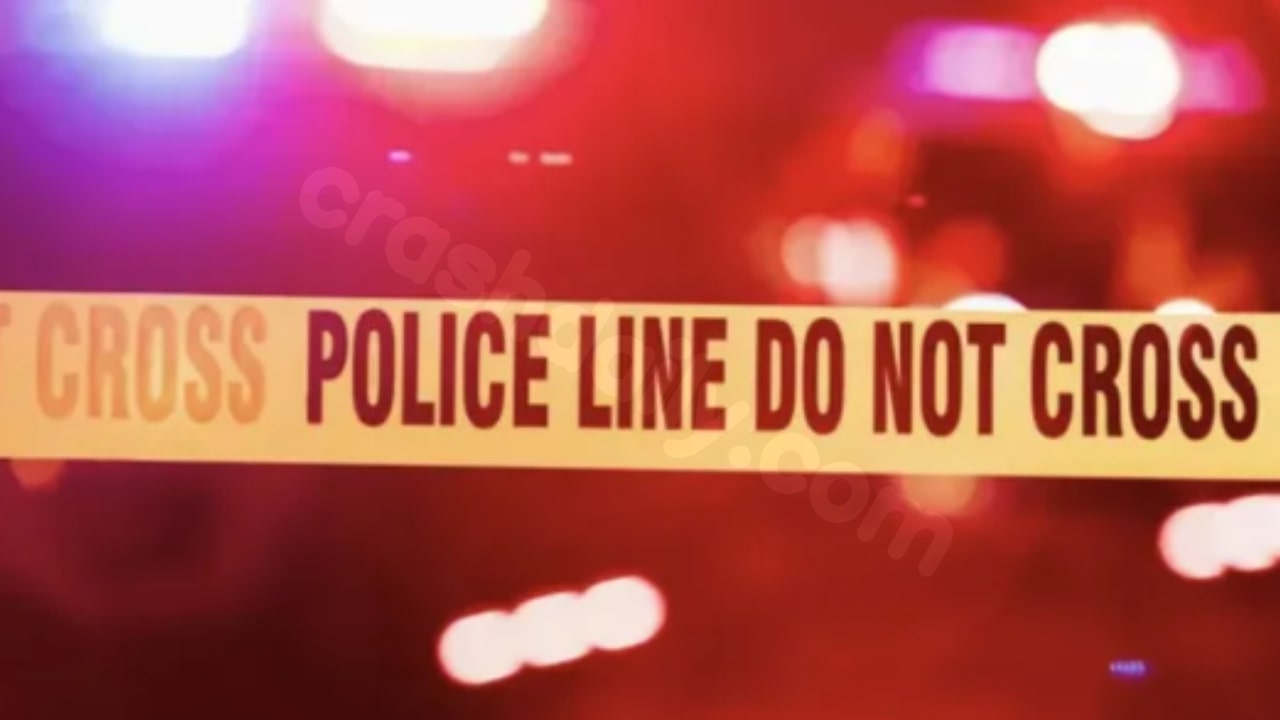 Two dead after fleeing driver crashes during police pursuit in Clinton Township