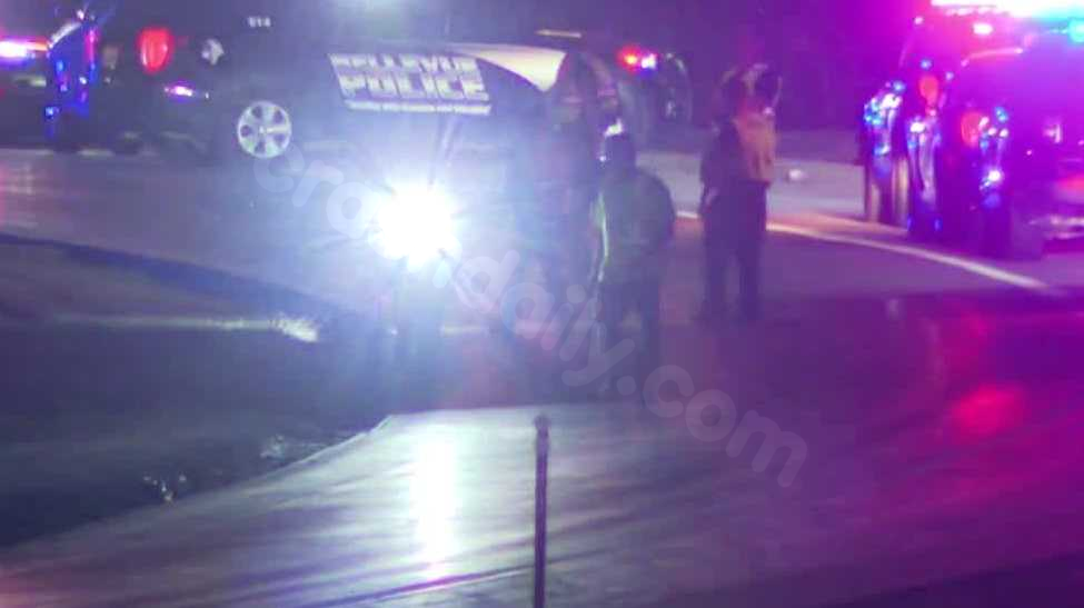 Bellevue police identify man who died in rollover crash