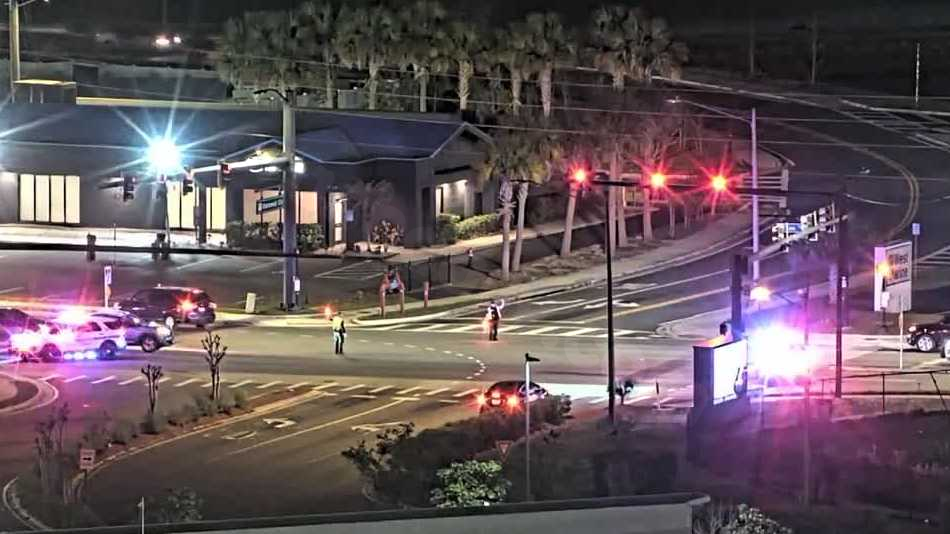 Man in wheelchair, dog killed in Orange County hit-and-run