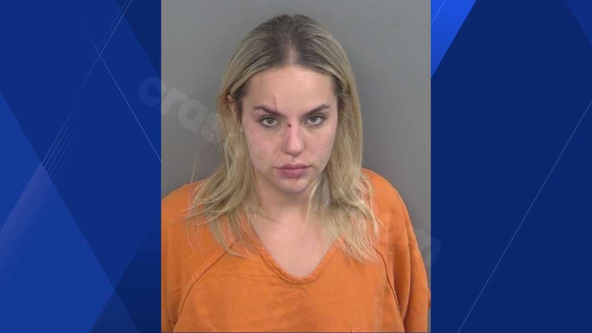 Driver in deadly I-75 wrong-way DUI crash was stopped by Collier County deputy hours before crash
