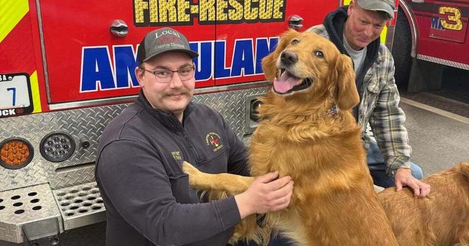 Photos show overjoyed dog thanking firefighter who saved his life after freak accident in New Hampshire