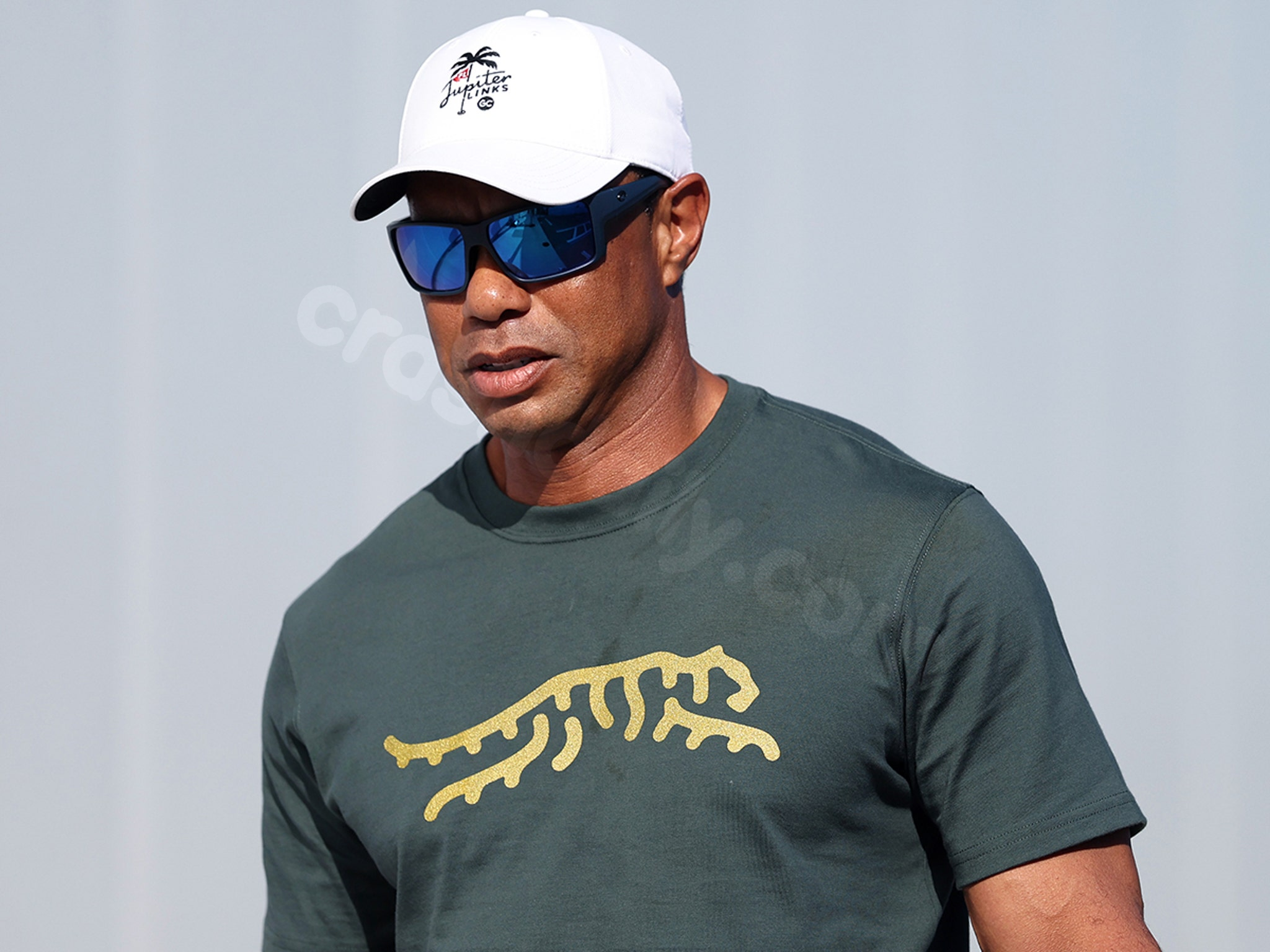 Tiger Woods Crash News Conference Livestream