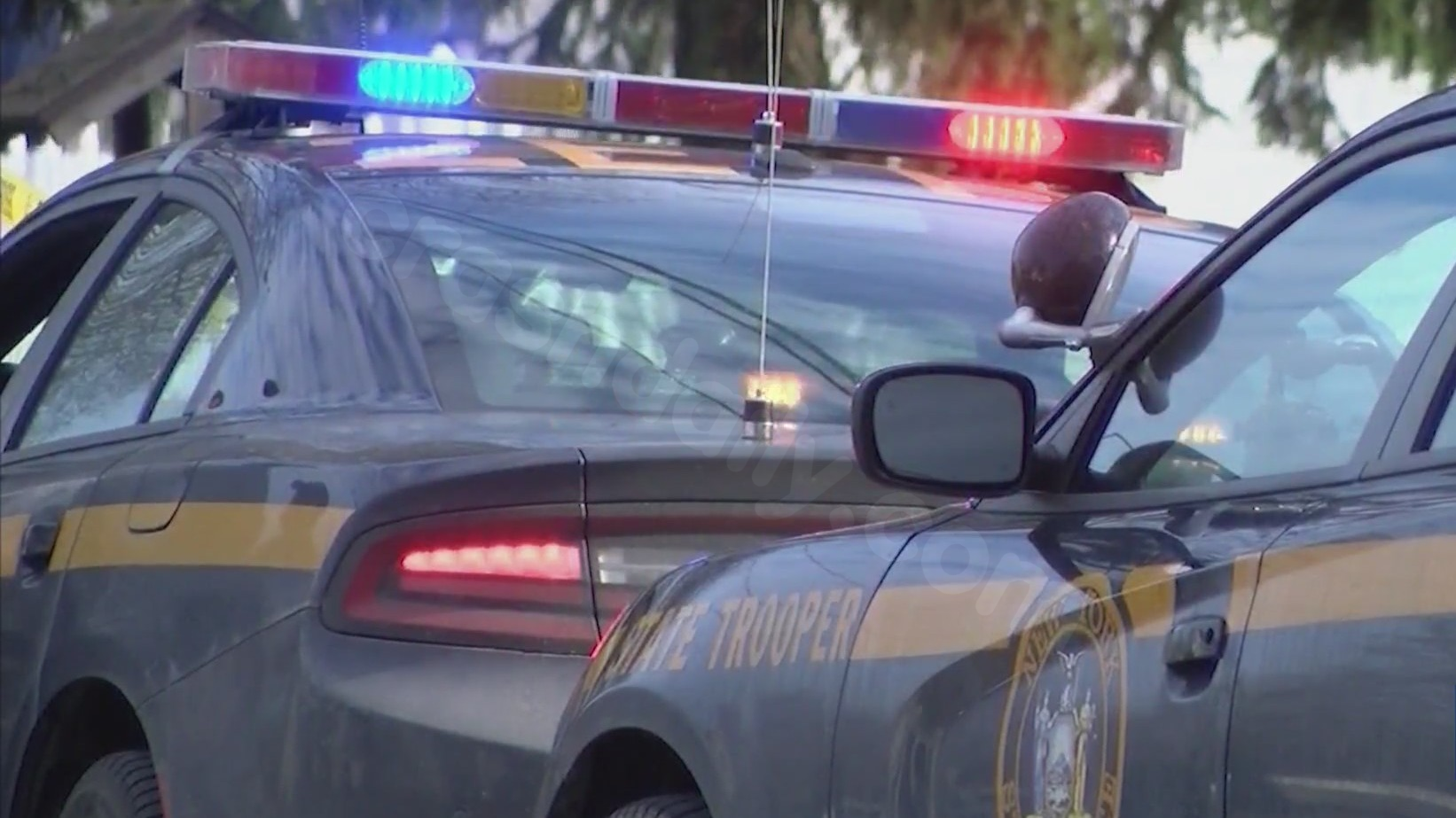 Driver dies in crash after hitting tree in Wayne Co.