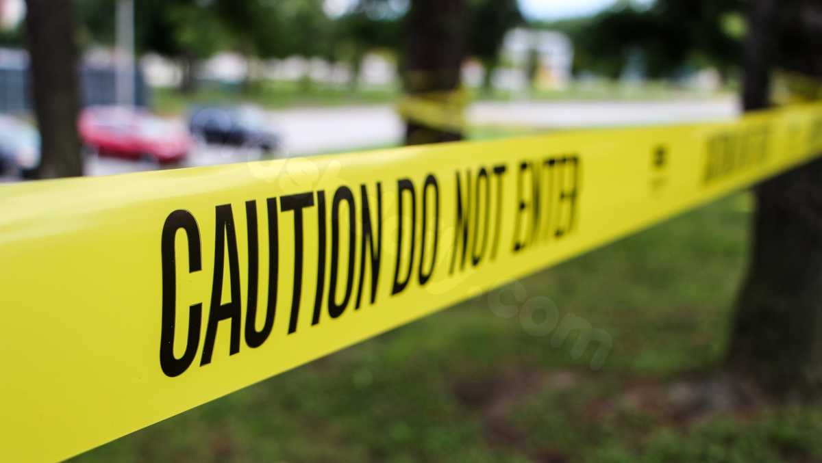 Train collision kills pedestrian in Indian River County