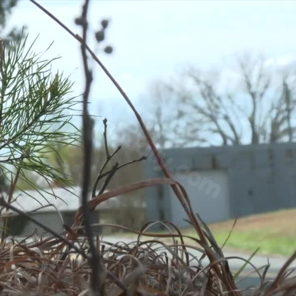 Memorial grows where three high school seniors were killed in Virginia crash