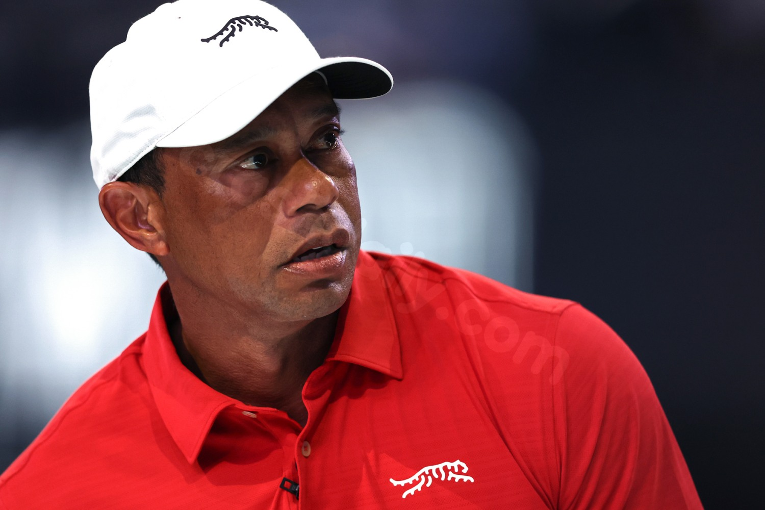 Tiger Woods was looking at phone, showed 'signs of impairment' at the time of rollover, police say