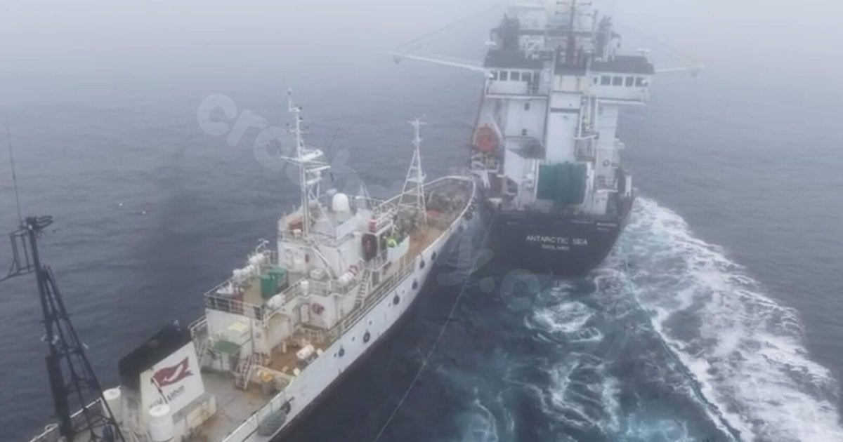 Activist ship's collision with krill trawler off Antarctica called "deliberate attack"