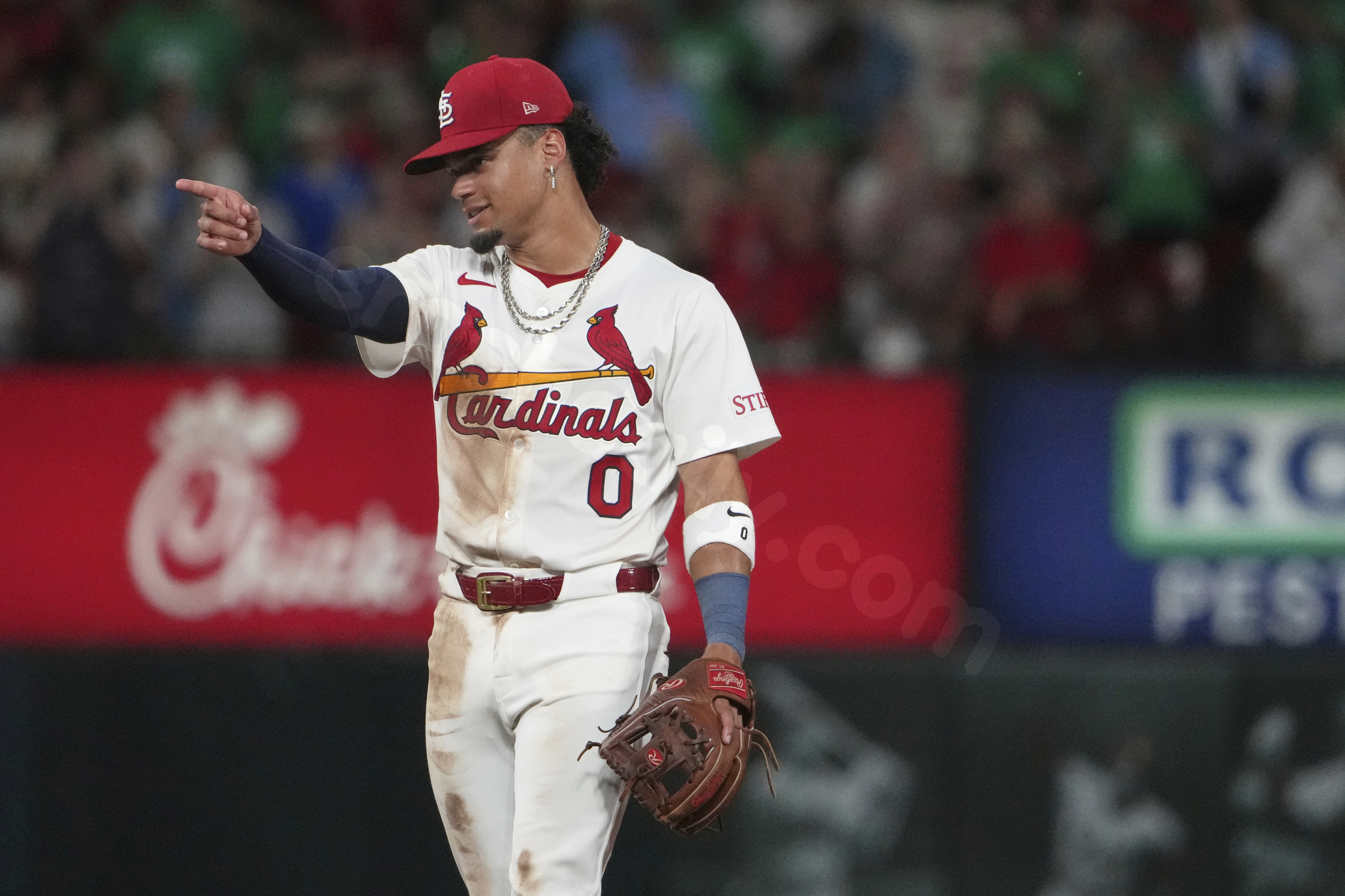 Cardinals’ Masyn Winn involved in car crash following walkoff win