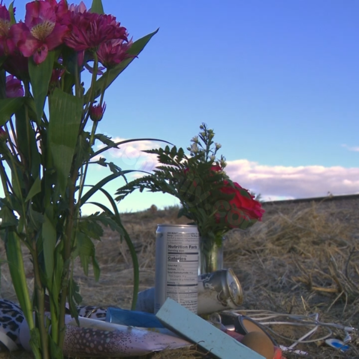 'Just the thought of losing a child is hard' residents react to fatal crash that killed two teens