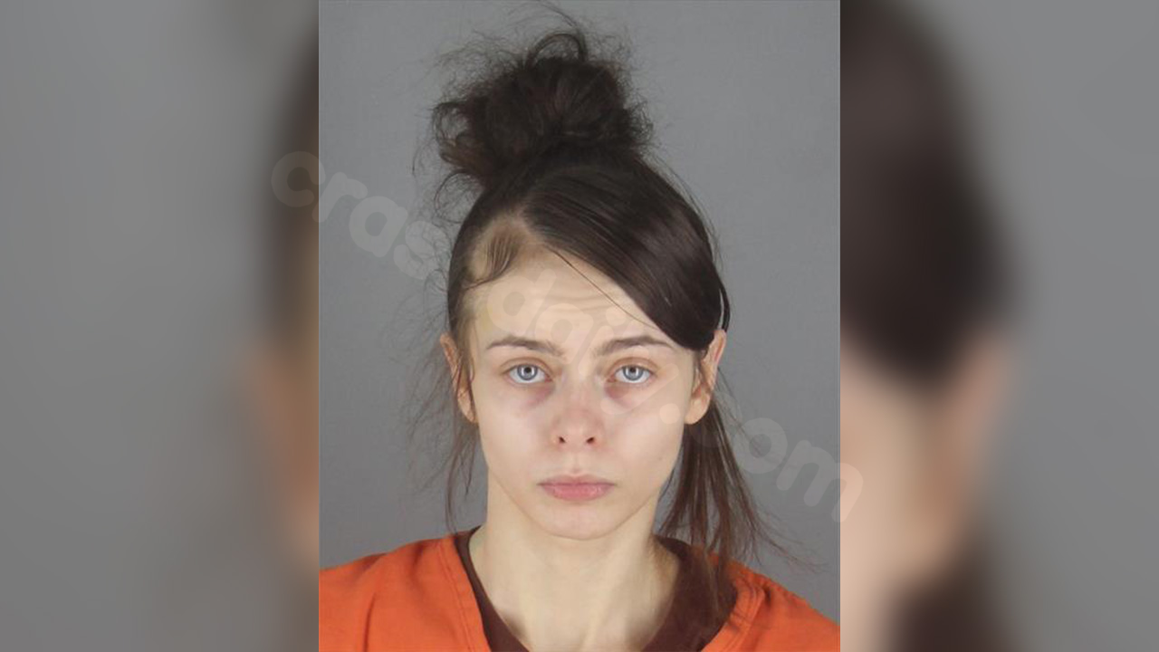 Tesla captures Minneapolis hit-and-run footage, woman charged in fatal crash