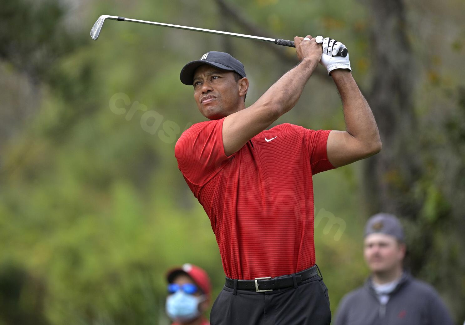Tiger Woods is back in the rough. How a dependence on painkillers took down a golf great