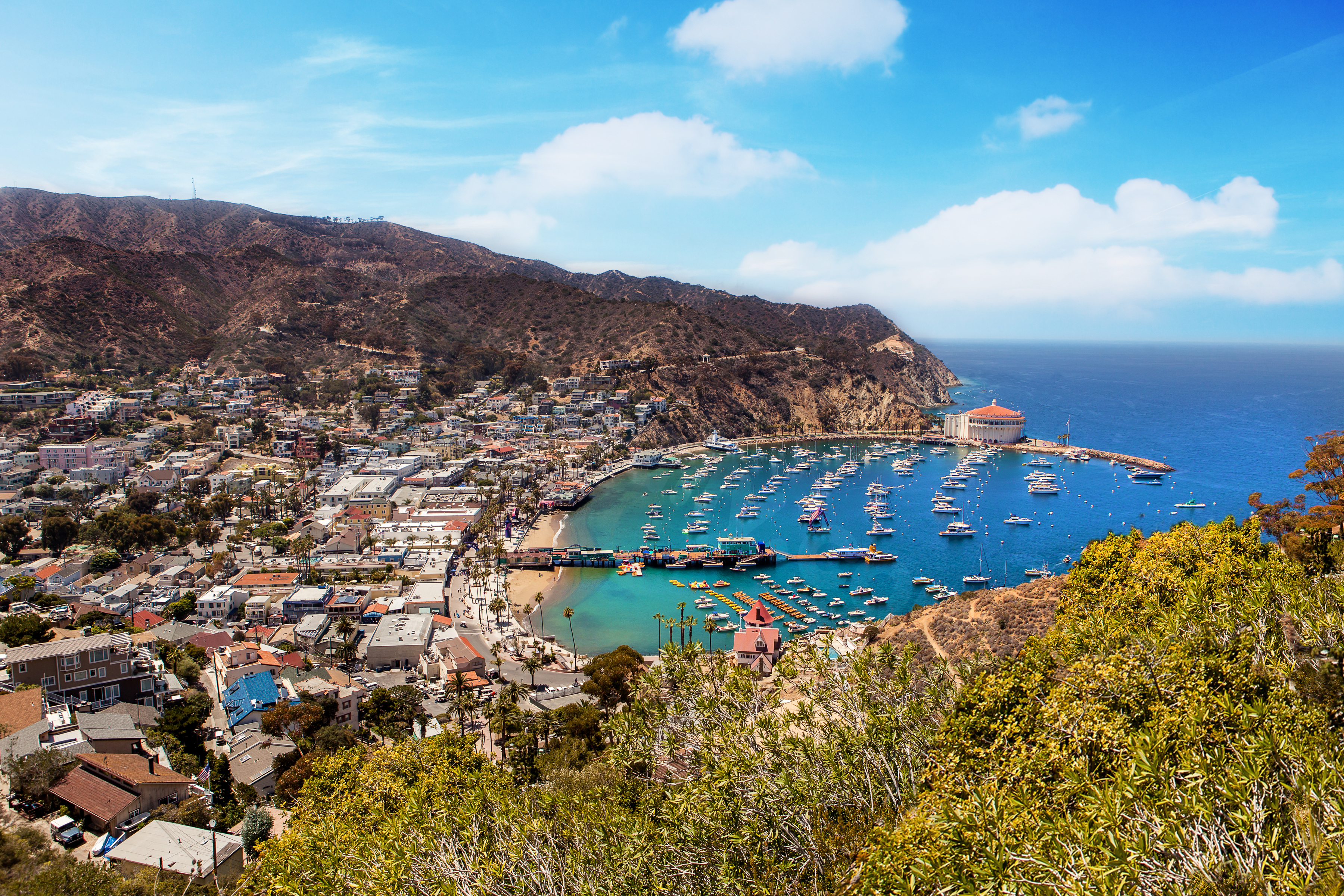 2 killed in small plane crash on Catalina Island, supervisor confirms