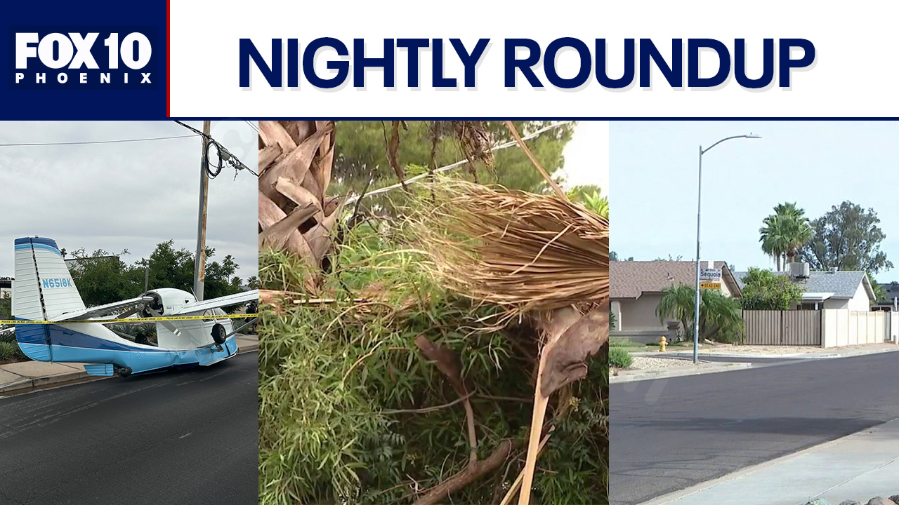 Plane crash-lands in Phoenix; deadly tree trimming accident | Nightly Roundup