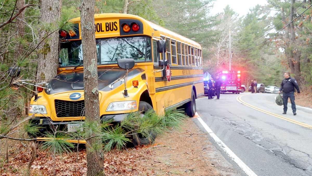 5th grader calls 911 after school bus crashes into tree with 26 kids on board