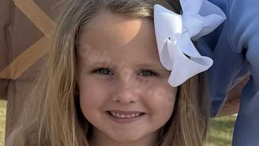 7-year-old to be taken off life support after Moulton crash that killed twin, sibling and mother