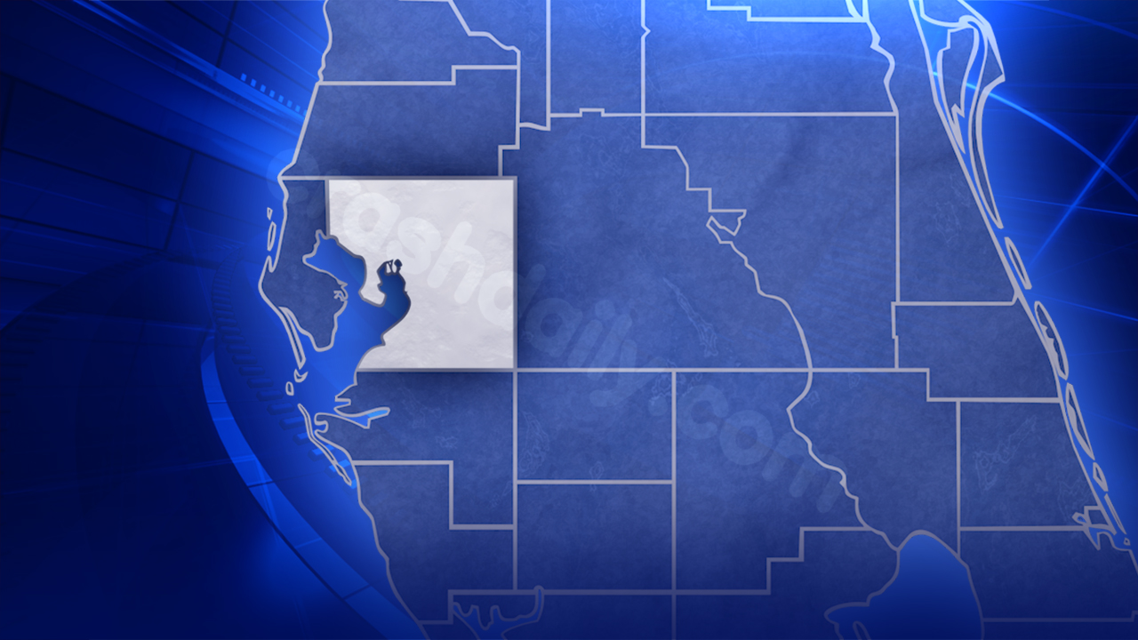 Temple Terrace police officer injured in crash on Fowler Avenue: TTPD
