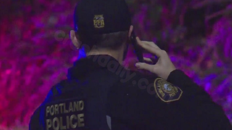 Hit-and-run driver sought in NE Portland fatal crash