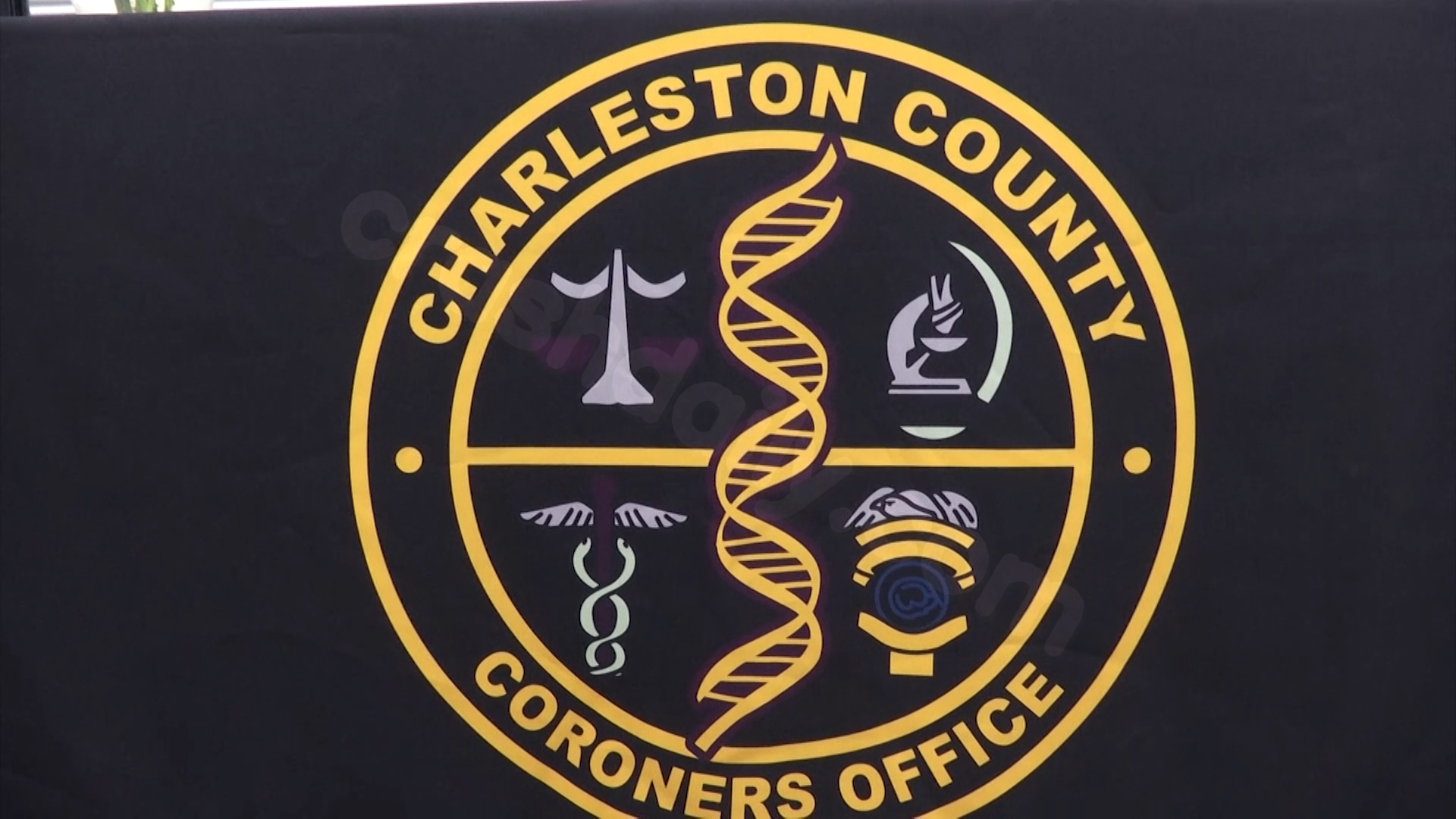 Coroner IDs victim of fatal auto-pedestrian crash near Ravenel Bridge, CCCO