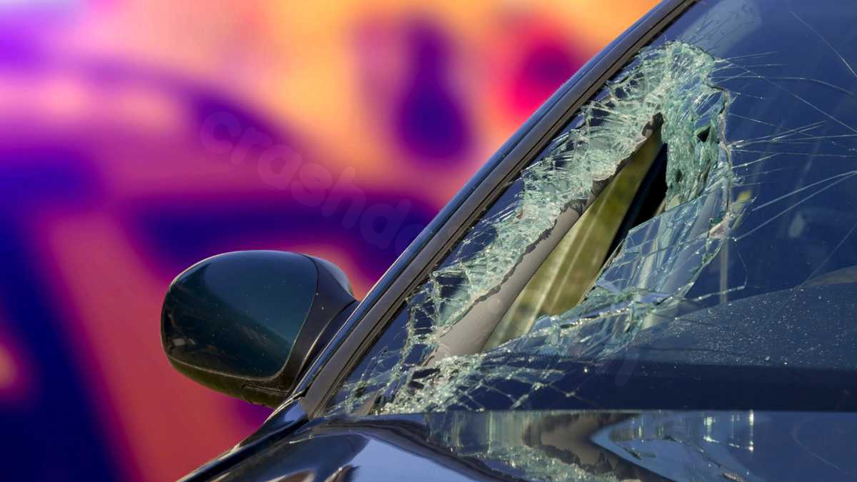 Driver killed in single-vehicle crash in Limerick
