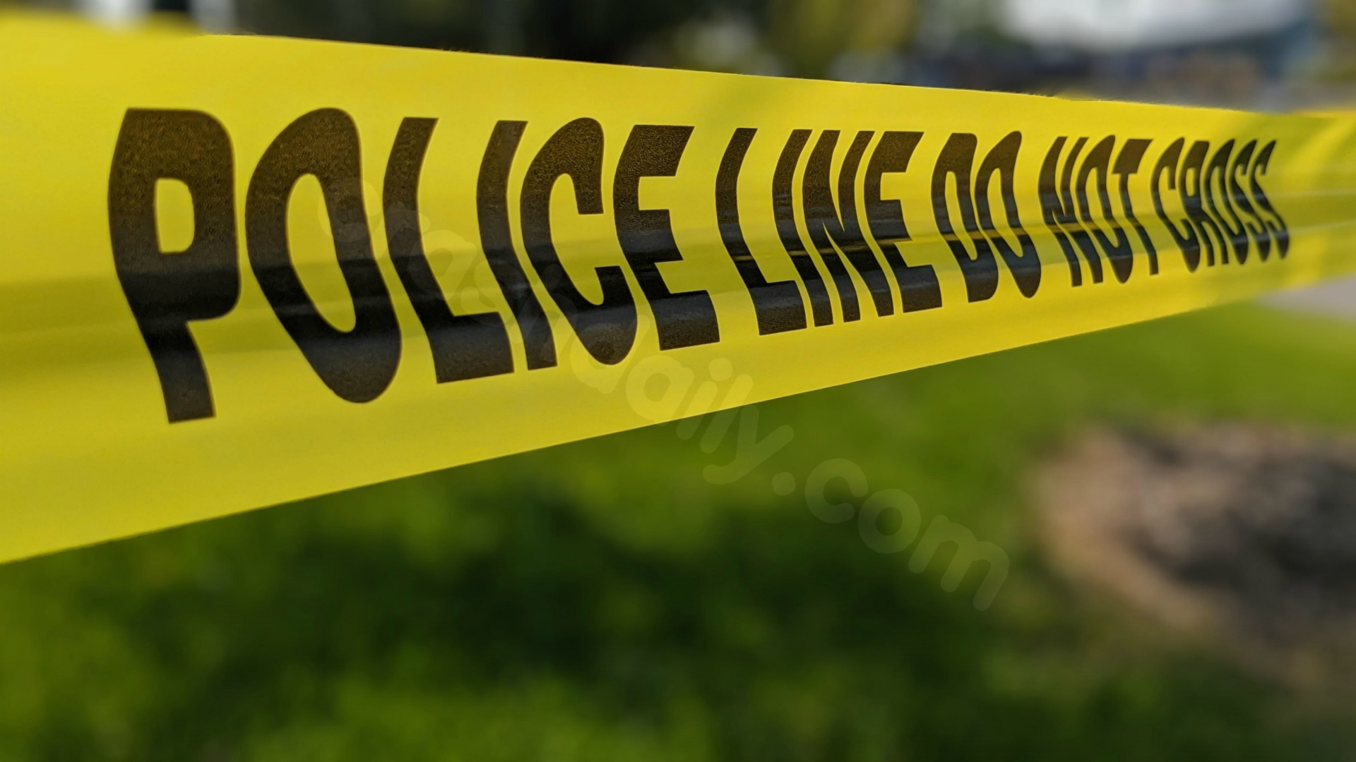 Fatal accident claims life of 81-year-old woman in Scales Mound