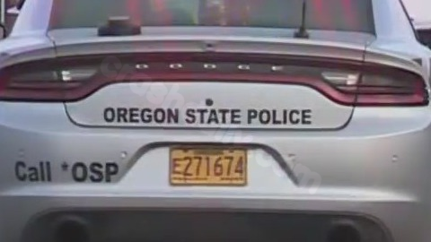 1 dead after driver veered off Oregon highway, struck tree