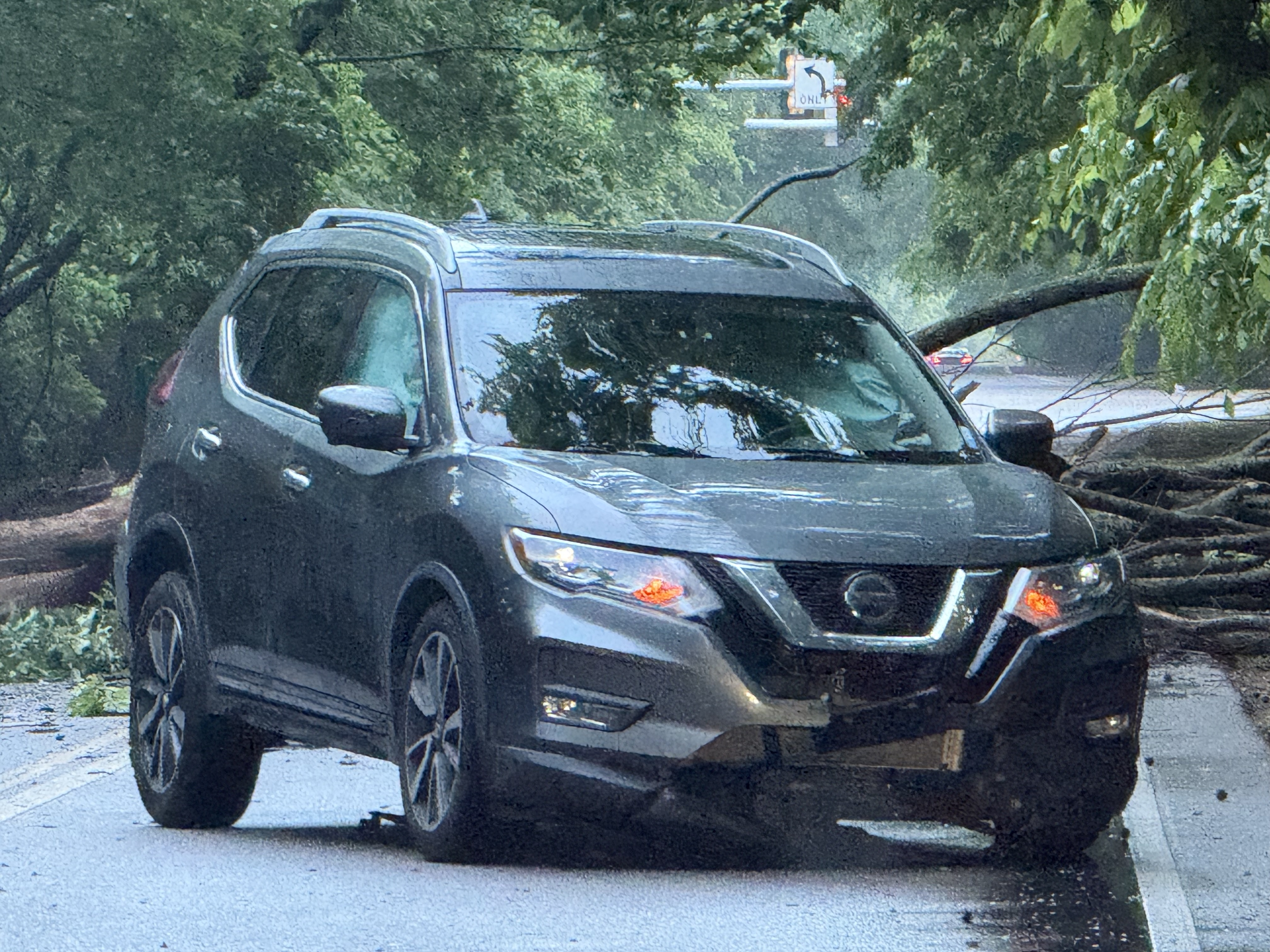 Crash possibly involving a tree blocks off Quince Road