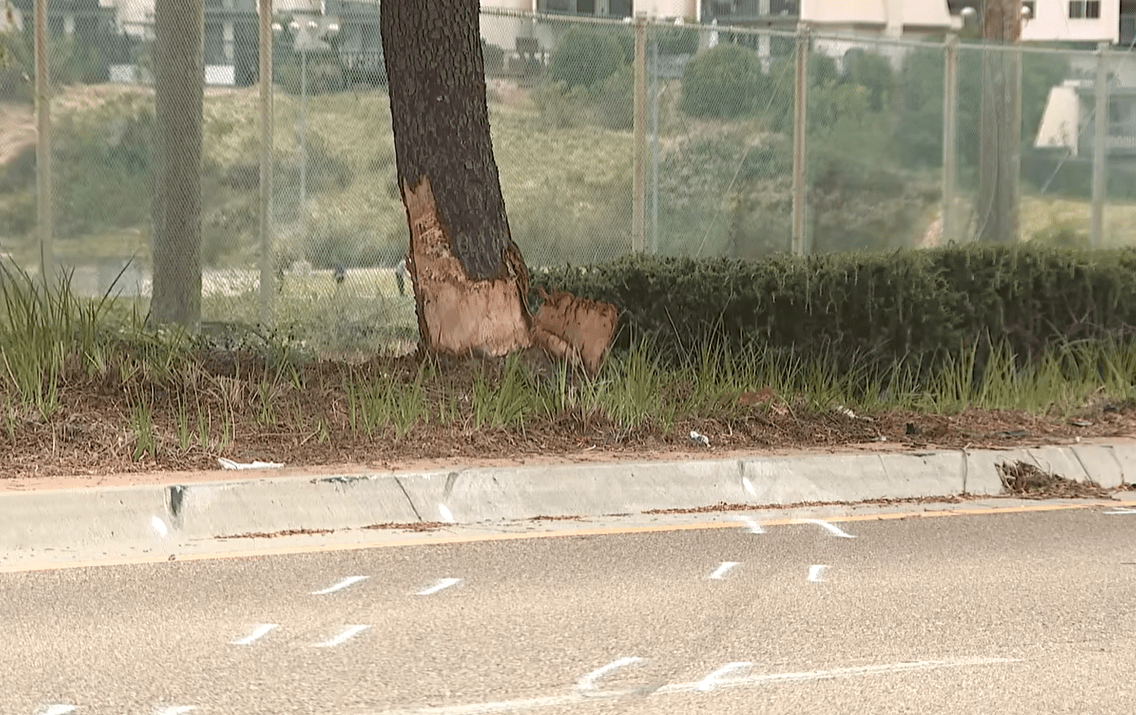 Medical Examiner identifies girl, 14, killed in San Carlos crash that injured multiple others