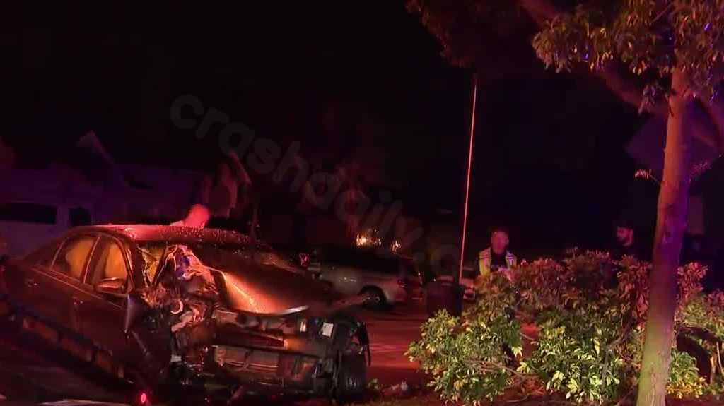 Car crashes into tree in Cape Coral, police investigate