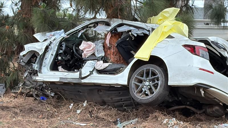 Driver strikes tree in fatal crash along westbound SR-94 near downtown