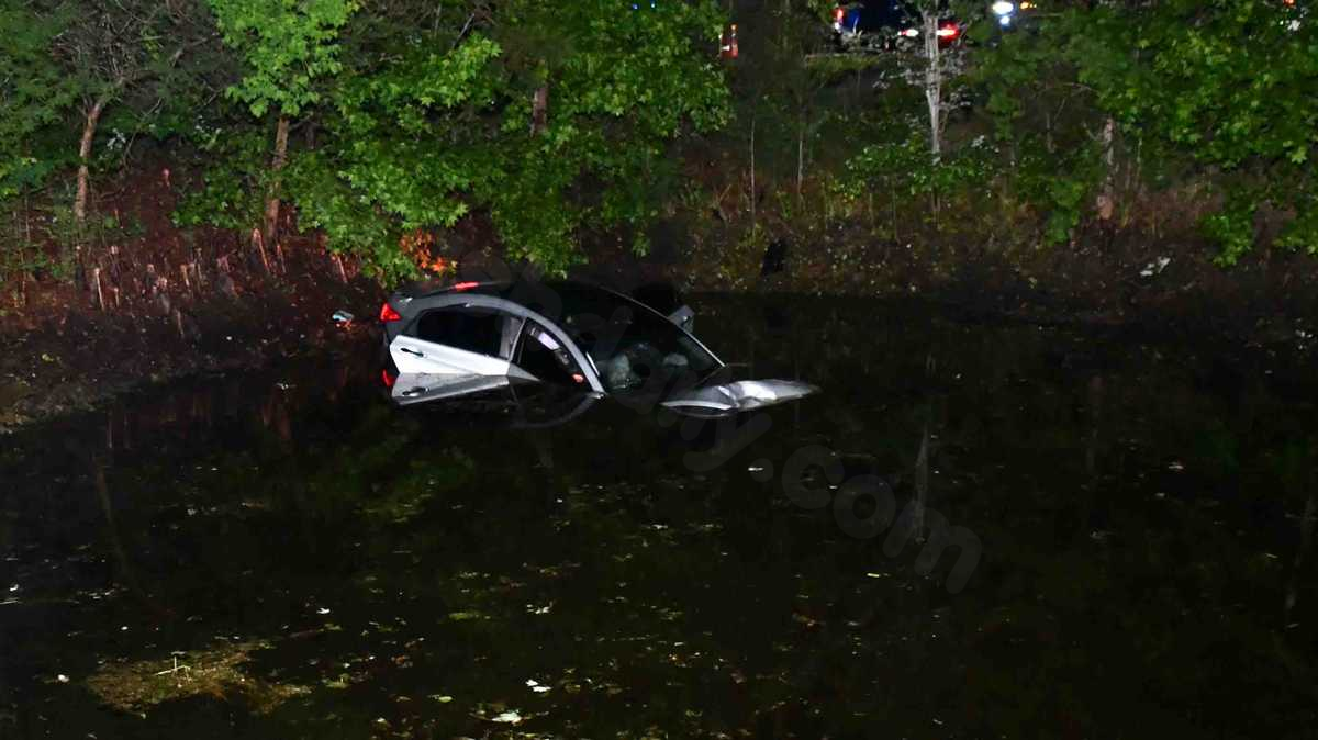 3 children, adult climb up embankment after car crashes, lands in pond, rescuers say