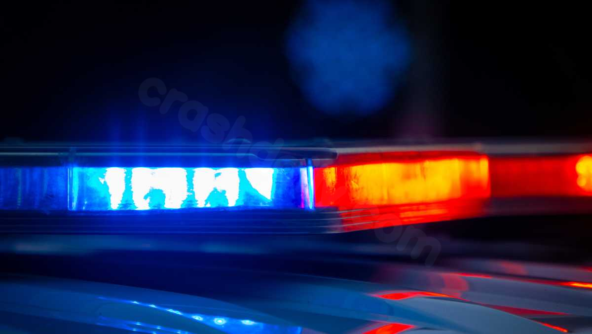 Murder arrest after man found dead on road near Belen