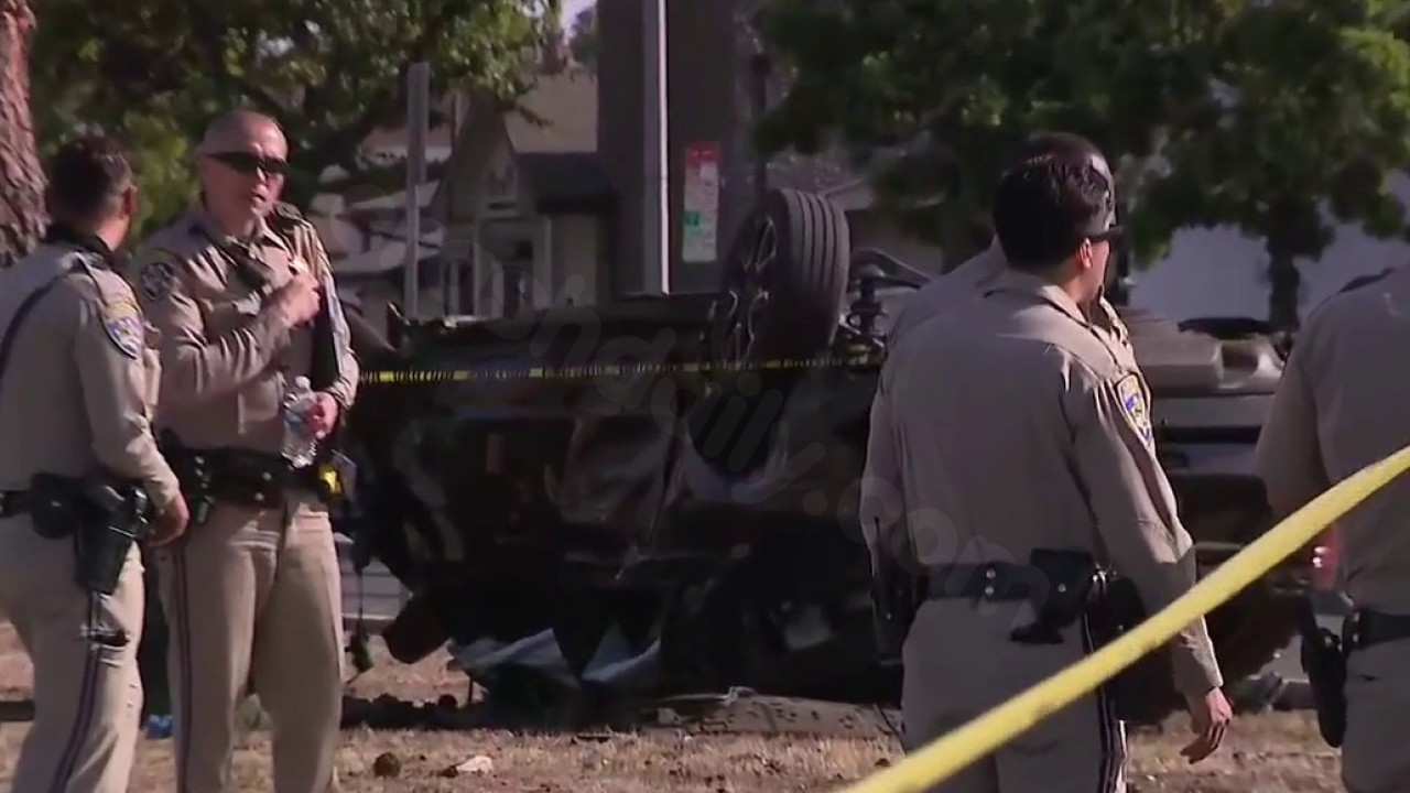 1 dead, 2 hospitalized in horrific South LA crash