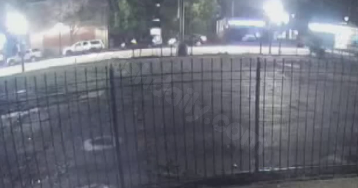 Man killed in hit-and-run on Chicago's Southwest Side