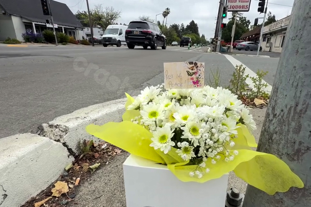 Woman arrested for deadly hit-and-run in Santa Rosa