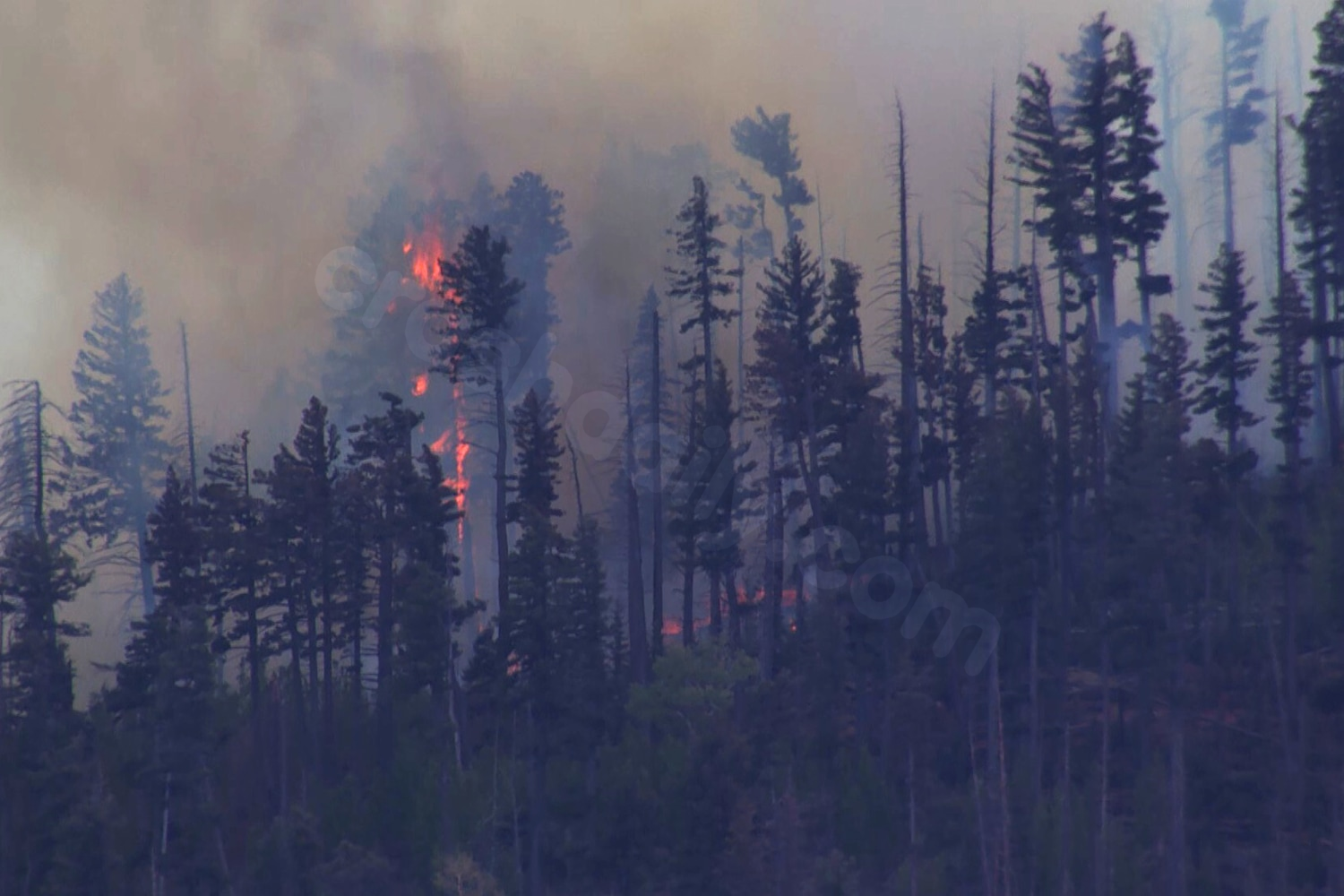 Small medical plane crashes in New Mexico mountains, killing all 4 people aboard