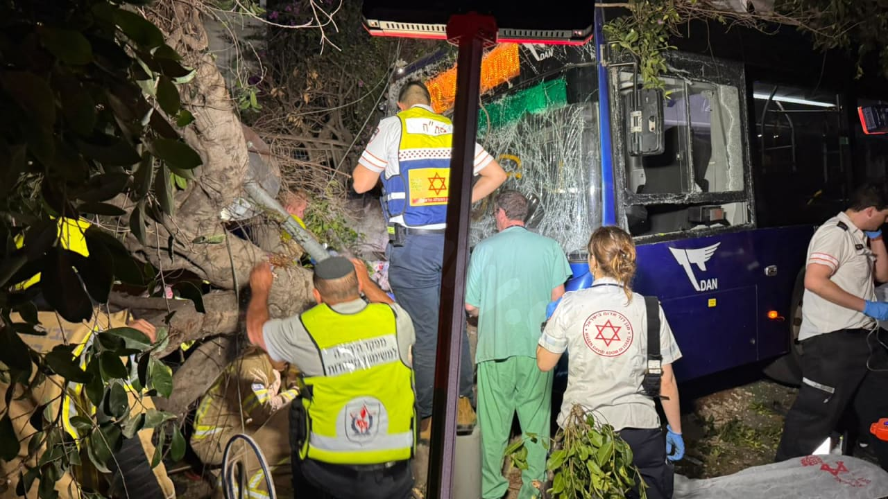 At least ten injured after bus crashes into tree, electric pole on Tel Aviv’s Dizengoff Street