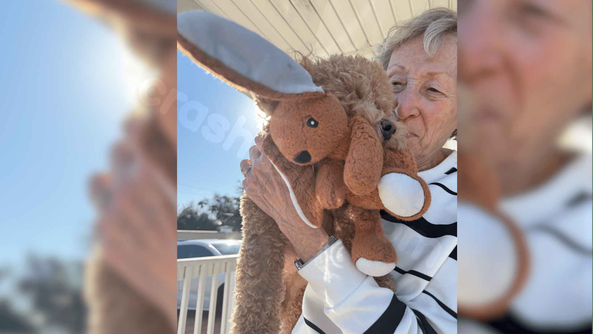 Video shows moments before Publix fatal crash, community mourns cherished neighbor