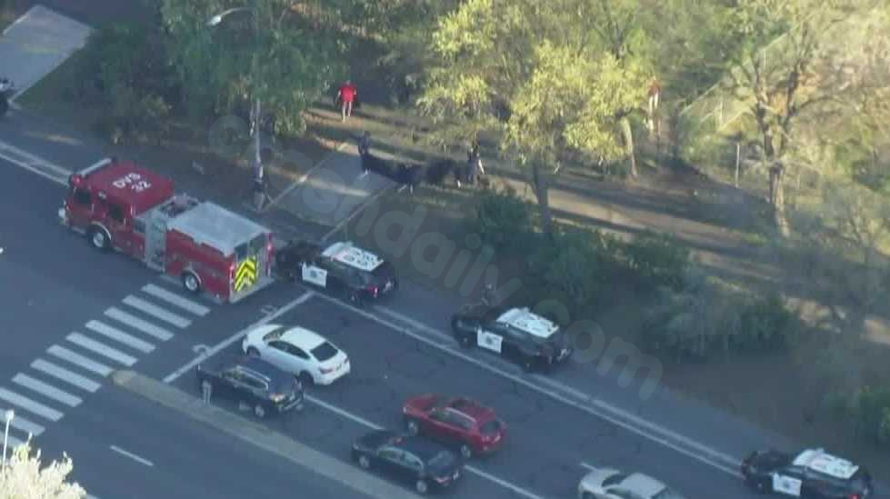 E-bike rider involved in deadly Davis collision with bicyclist was not at fault, police say
